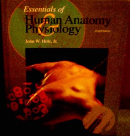 Essentials of Human Anatomy Physiology