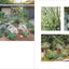 Gardens of Texas: Visions of Resilience from the Lone Star State