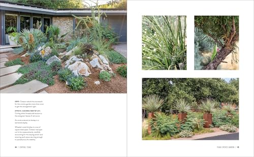 Gardens of Texas: Visions of Resilience from the Lone Star State