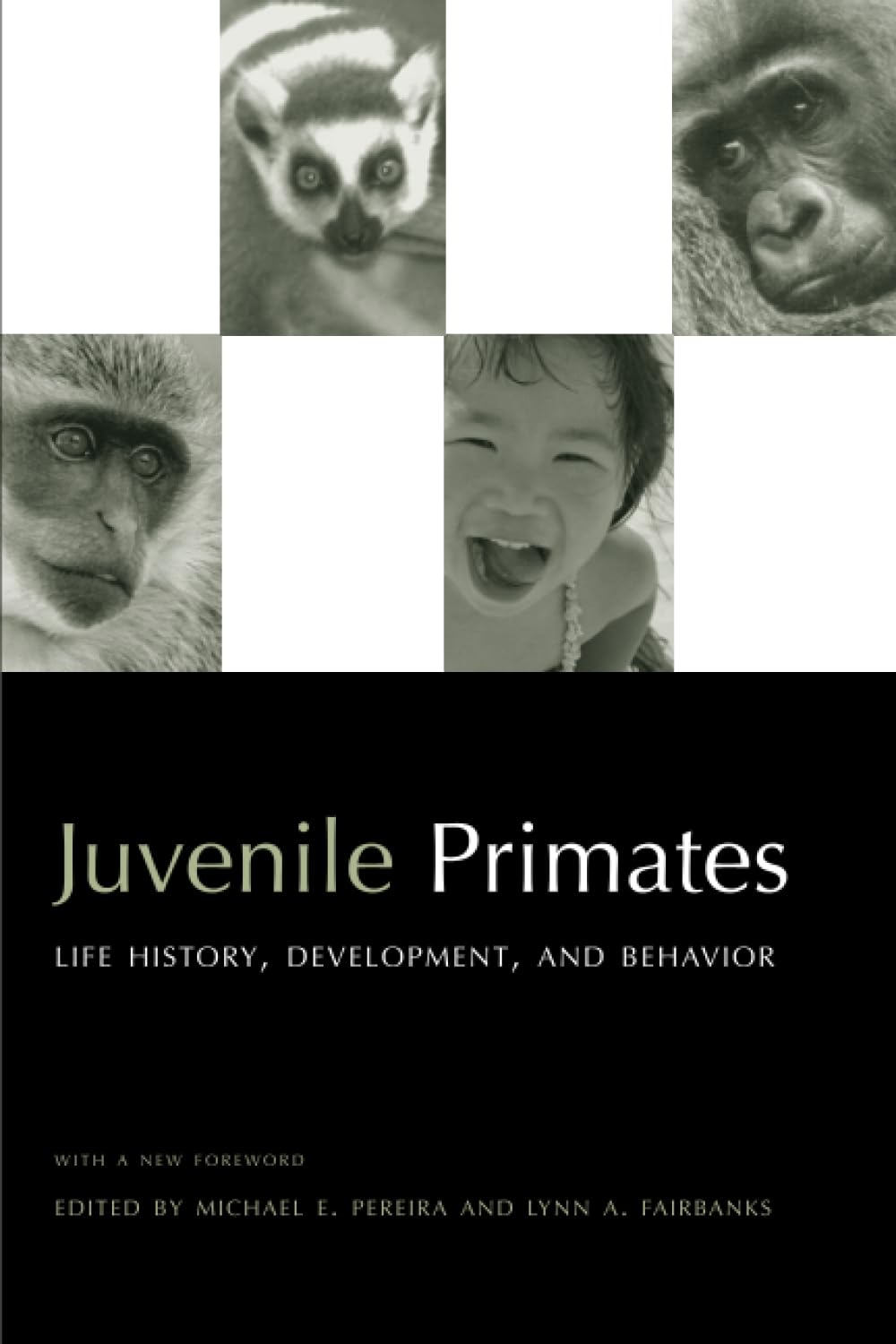 Juvenile Primates: Life History, Development and Behavior, with a new Foreword