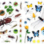 Eyelike Stickers: Bugs