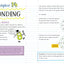 Everything You Need to Ace Chemistry in One Big Fat Notebook. (Big Fat Notebooks).
