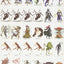 Pathfinder Bestiary 2 Pawn Collection (P2) by Staff, Paizo