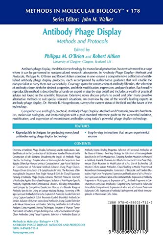 Antibody Phage Display