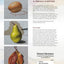 Easy Oil Painting: Beginner Tutorials for Small Still Life (Design Originals) 9 Step-by-Step Projects of Simple Subjects for 4-Inch Square or Smaller Canvases, Technique Lessons, and Sketches to Trace