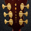 Guitar: The Worlds Most Seductive Instrument
