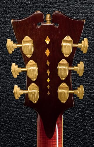 Guitar: The Worlds Most Seductive Instrument