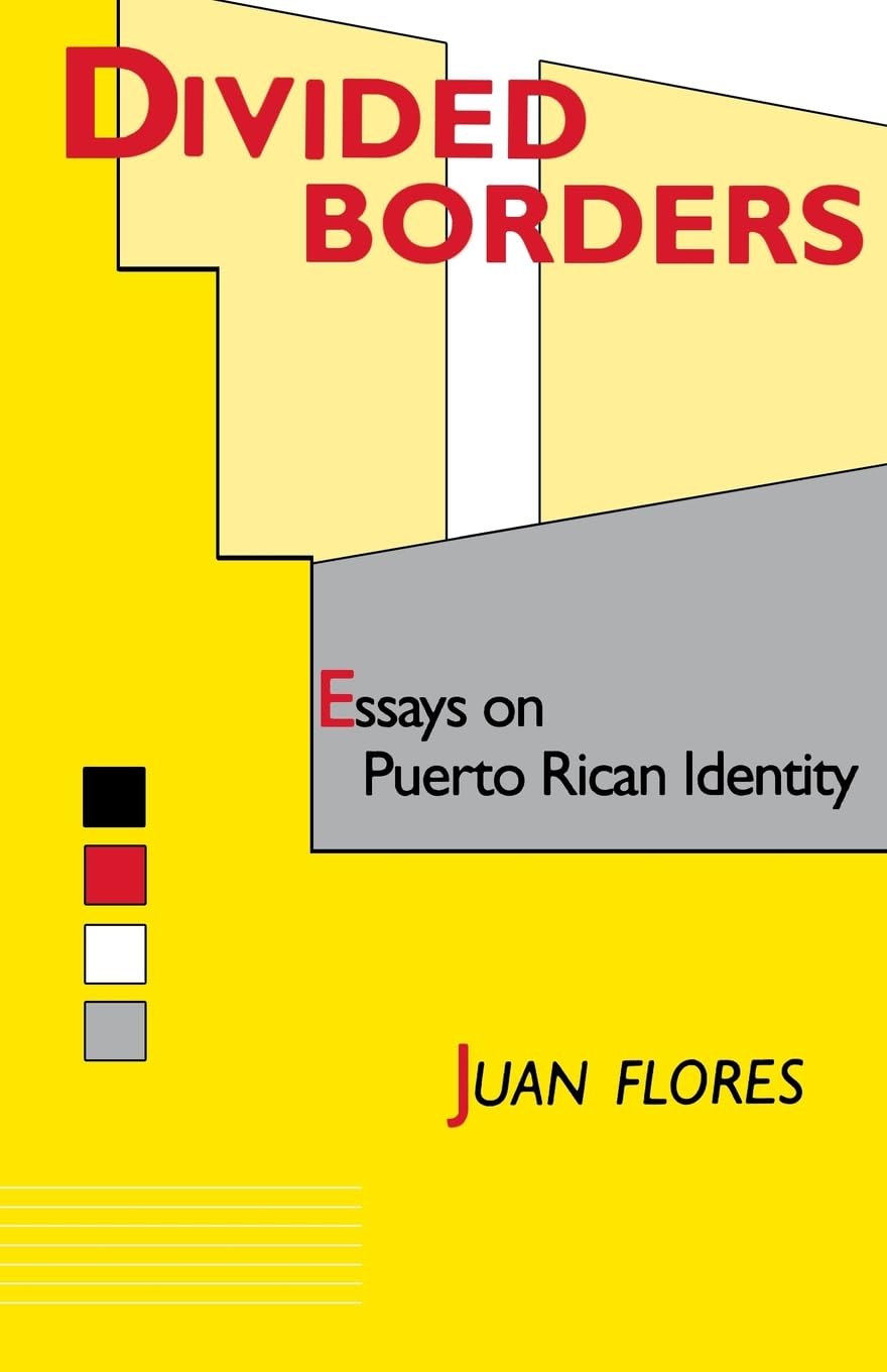 Divided Borders: Essays on Puerto Rican Identity