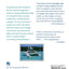 The Cruising Multihull