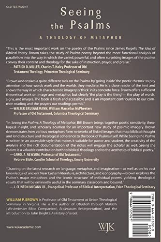 Seeing the Psalms: A Theology of Metaphor