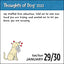 Thoughts of Dog 2022 Day-to-Day Calendar