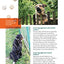 Turning Fierce Dogs Friendly: Using Constructional Aggression Treatment to Rehabilitate Aggressive and Reactive Dogs (CompanionHouse Books)