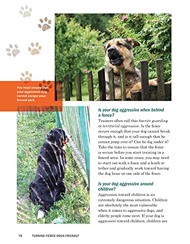 Turning Fierce Dogs Friendly: Using Constructional Aggression Treatment to Rehabilitate Aggressive and Reactive Dogs (CompanionHouse Books)