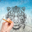 Jungle Cats : Coloring Book for Adults