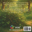 Pearl the Porcupine and the Brave Rescue: A Heartwarming Kids Storybook about Bravery and Looking Beyond Appearances (Moral Stories for Kids)
