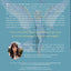 Messages from Your Angels: What Your Angels Want You to Know