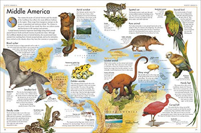 The Animal Atlas: A Pictorial Guide to the World's Wildlife (DK Pictorial Atlases)