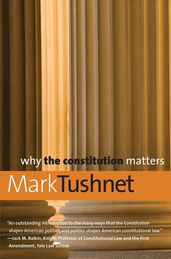 Why the Constitution Matters (Why X Matters Series)