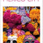 DK Top 10 Mexico City (Pocket Travel Guide)