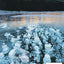 Chemistry and Chemical Reactivity