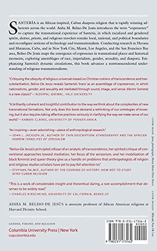 Electric Santería: Racial and Sexual Assemblages of Transnational Religion (Gender, Theory, and Religion)