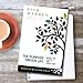 The Purpose Driven Life: What on Earth Am I Here For?