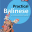 Practical Balinese: A Communication Guide (Balinese Phrasebook & Dictionary)