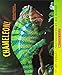 Chameleon, Chameleon