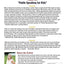 Public Speaking for Kids - Level One, Teaching Guide: 24 Skill-based Lessons for Teachers and Parents