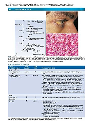 Rapid Review Pathology: With STUDENT CONSULT Online Access