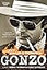 Gonzo: The Life of Hunter S. Thompson
