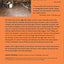 Saying Something: Jazz Improvisation and Interaction (Chicag
