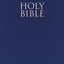 NIrV, Holy Bible for ESL Readers, Paperback, Blue