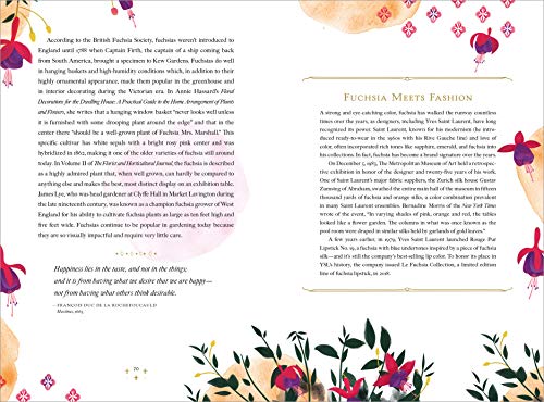 The Language of Flowers: A Fully Illustrated Compendium of Meaning, Literature, and Lore for the Modern Romantic