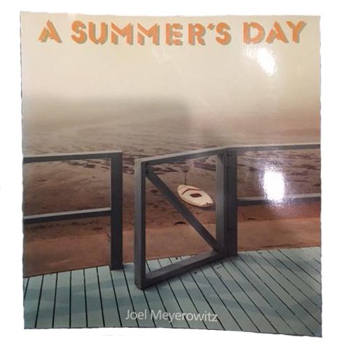 A Summer's Day by Meyerowitz, Joel