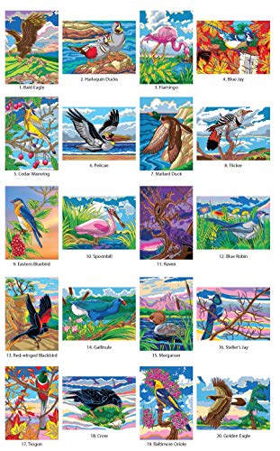 Creative Haven Birds Color by Number Coloring Book (Adult Coloring Books: Animals)