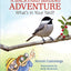 A Backyard Birding Adventure: What's in Your Yard?