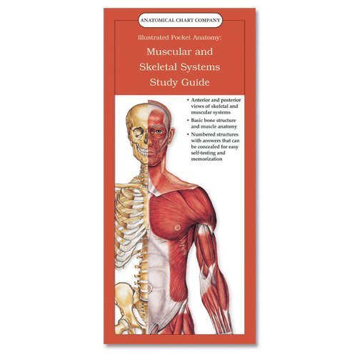 Illustrated Pocket Anatomy: Muscular And Skeletal Systems Study Guide: (laminated Card, Single Copy, No Tab)