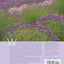 The Lavender Lover's Handbook: The 100 Most Beautiful and Fragrant Varieties for Growing, Crafting, and Cooking