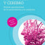 Menopausia y cerebro / Menopause and the Brain: Nuevas aportaciones de la neurociencia y la medicina / New contributions from neuroscience and medicine (Spanish Edition)