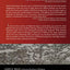 Biblical Theology: Issues, Methods, and Themes