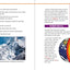 Rocks and Minerals!: With 25 Science Projects for Kids