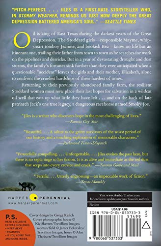 Stormy Weather: A Novel