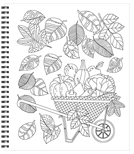 Large Print Easy Color & Frame - Garden (Stress Free Coloring Book)
