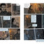 Graceling Graphic Novel