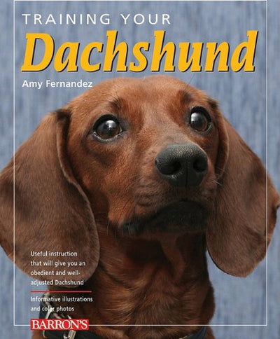 Training Your Dachshund (Training Your Dog)