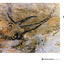 Cave Art (World of Art)