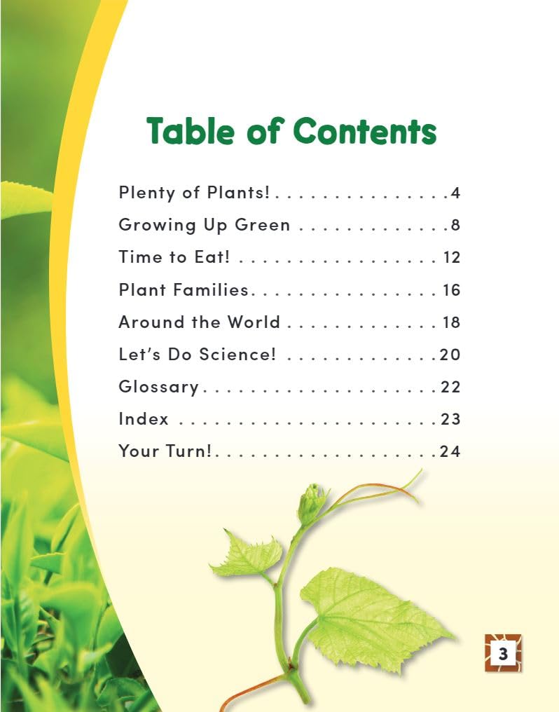 Inside a Plant (Science Readers: Content and Literacy)