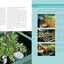The Vegetable Gardener's Container Bible: How to Grow a Bounty of Food in Pots, Tubs, and Other Containers