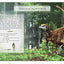 The Little Book of Dinosaur Sounds
